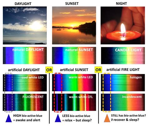 Light and Health - Read about the Science!