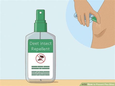 How to Prevent Flea Bites on Humans and Pets