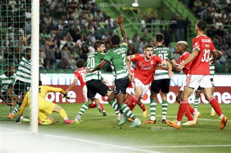 11489570 - Primeira Liga - Sporting CP vs SL BenficaSearch | EPA