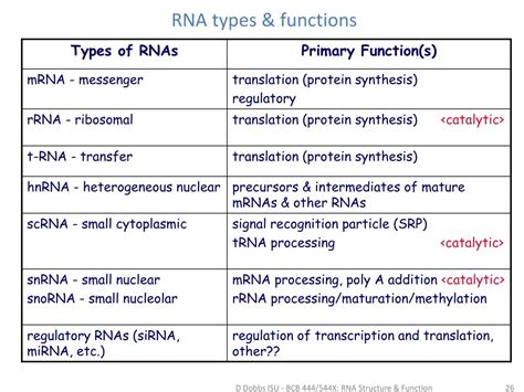 PPT - RNA Tertiary Structure PowerPoint Presentation, free download - ID:2110040