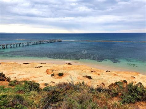 Great Southern Reef: Port Noarlunga Reef and Jetty View Stock Photo - Image of bluff, southern ...