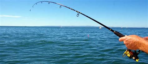 Fishing rig guide and how to make them. A text and visual guide for various sea fishing rigs