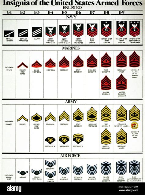 Chart of enlisted personnel insignia for the U.S. Armed Forces. Country ...