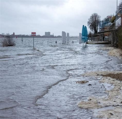 Forscher: Kommen beim Hochwasserschutz an technische Grenzen - WELT