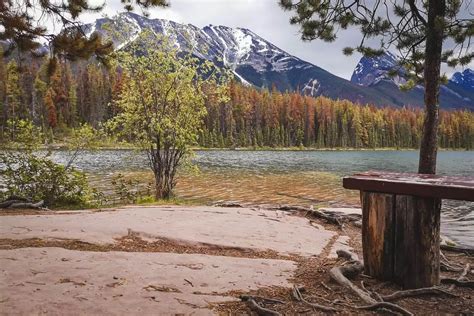 Complete guide to Camping in Jasper National Park (Updated for 2020)