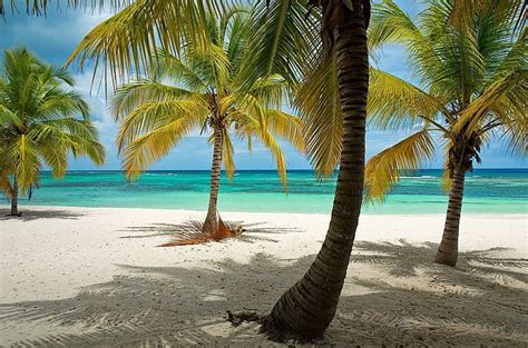 Boca Chica Beach - JackCana Tours