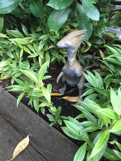 How To Build A Dinosaur Garden