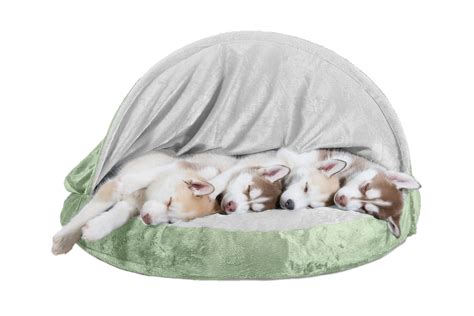 Soft Snuggery Burrow Dog Beds - Microvelvet | Furhaven.com — Furhaven Pet Products