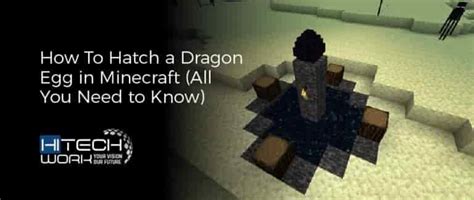 How To Hatch a Dragon Egg in Minecraft (All You Need to Know)