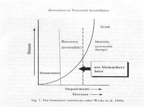 Nematodes as Bioindicators for Soil Health Assessment Fafeng