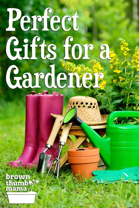 Best Gifts for Gardeners - Brown Thumb Mama®