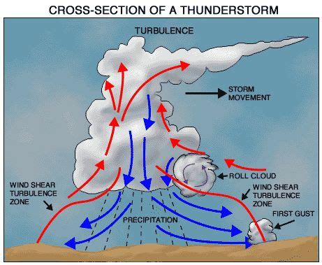 convection diagram clouds | Cross-section of a thunderstorm | Thunderstorms, Wind shear, Physics ...