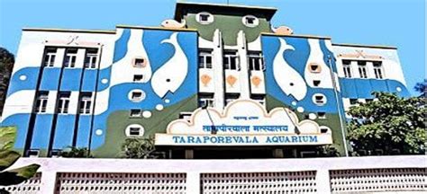 Taraporewala Aquarium | Mumbai - What to Expect | Timings | Tips - Trip ...