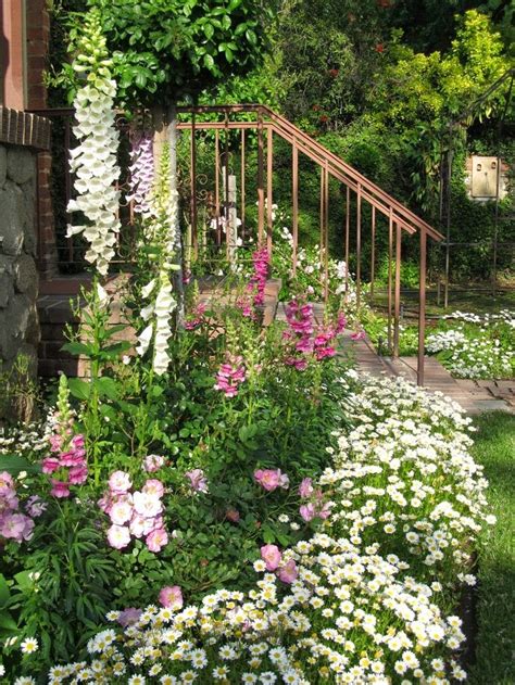 Flowers Gardens: Outdoor, garden, plants & flowers