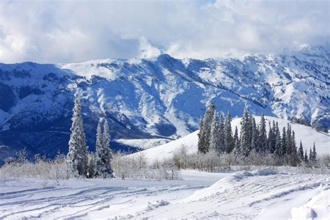 Powder Mountain, Utah – T & G Flooring