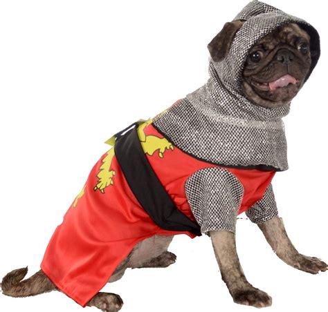 25 Best Halloween Costumes for Pugs That Are So Cute!