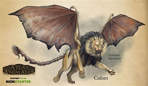 [Art] Looking for Manticore variant ideas! : r/DnD