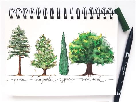 Easy Watercolor Trees in Five Steps - Tombow USA Blog