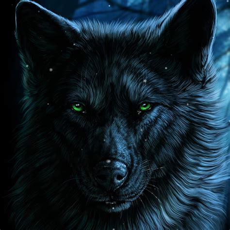 Black Wolf Eyes HD Wallpapers Pxfuel | atelier-yuwa.ciao.jp