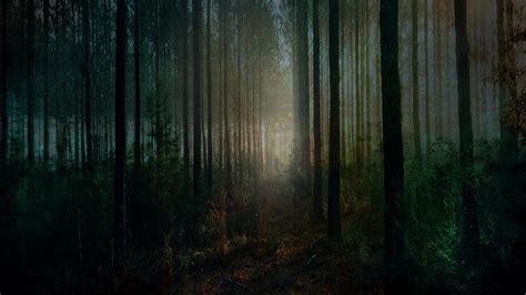 Spooky Forest Wallpapers - Wallpaper Cave