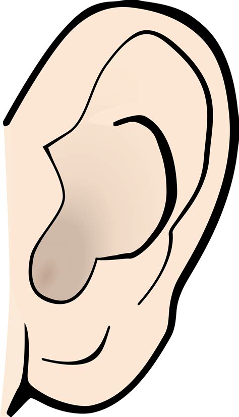 Ears Png Clipart Clip Art Library | Images and Photos finder