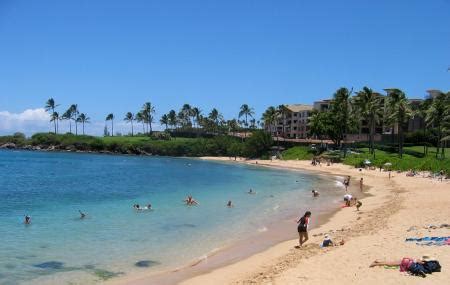 Kapalua Bay Beach, Kapalua | Ticket Price | Timings | Address: TripHobo