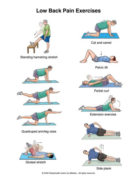 Low back exercises — Knotry