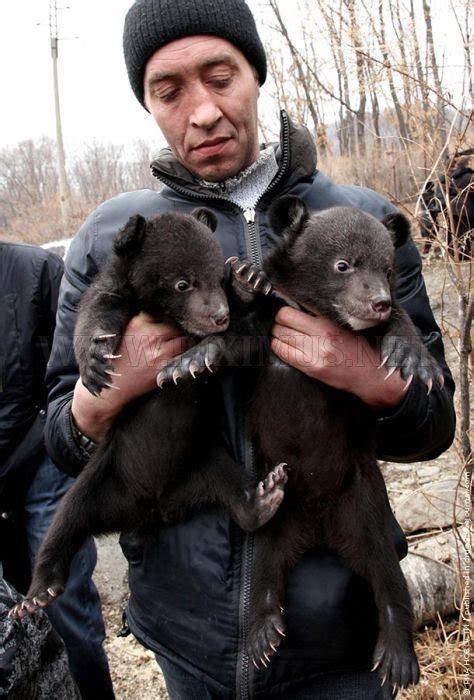 Himalayan Bear Cubs Found New Home | Animals