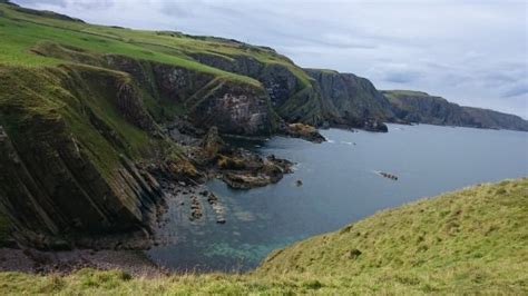 St Abbs Head National Nature Reserve (Scotland): Top Tips Before You Go (with Photos) - TripAdvisor