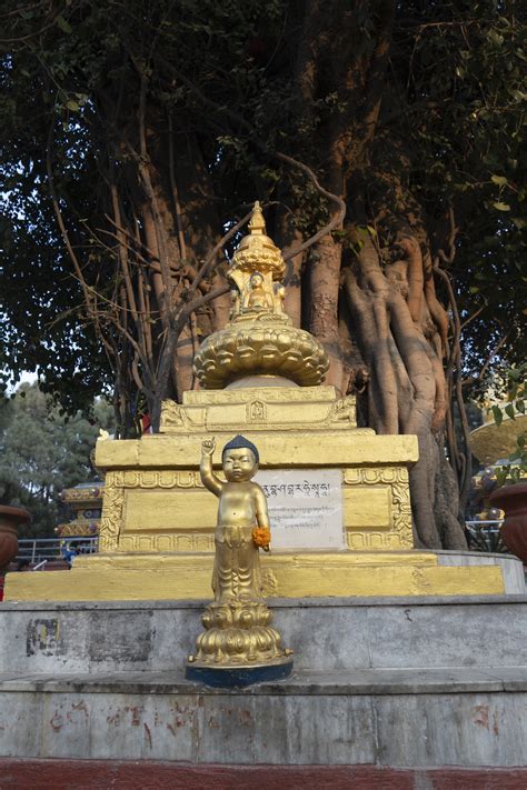 Swayambhunath Stupa photo [Swayambhunath Stupa]