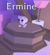 Ermine | Adopt Me! Wiki | Fandom