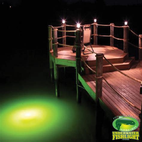 Extra Bright Double Dock Lights by Underwater Fish Light