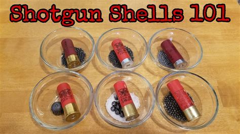 How Many 12 Gauge Shells In A Box? Update - Achievetampabay.org