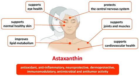 Benefits of astaxanthin in health and age-related conditions. | Download Scientific Diagram