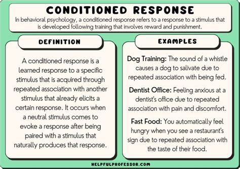 10 Conditioned Response Examples (2024)