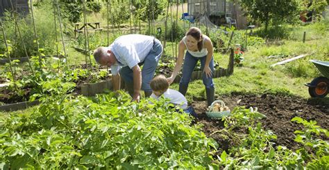 Plant a Family Vegetable Garden