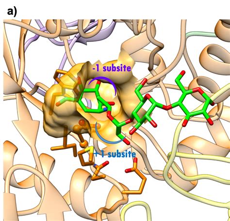 PDB-101: Global Health: Diabetes Mellitus: Drugs: Alpha glucosidase ...