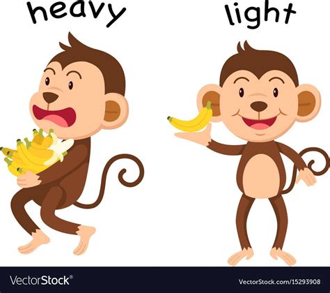 two monkeys are playing with the same object