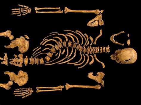 Replica Skeleton Shows King Richard III Had Scoliosis