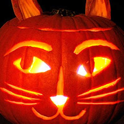 6 Cat-Themed Jack-o-Lantern Ideas for You and Your Kids - Catster