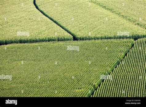 Crop patterns in a field Stock Photo - Alamy