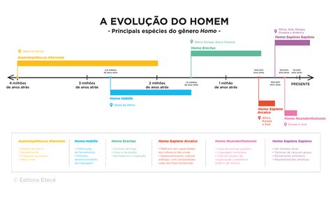 Evolução humana: resumo, espécies, teorias e características