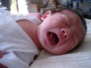 primal scream | 生まれて8日目の絶叫「らーー！」 | sawamur | Flickr