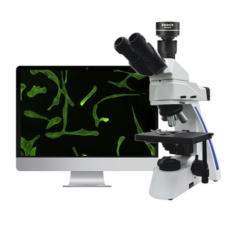 Fluorescence microscope - MF31 LED - Micro-shot Technology Limited - optical / laboratory / for ...