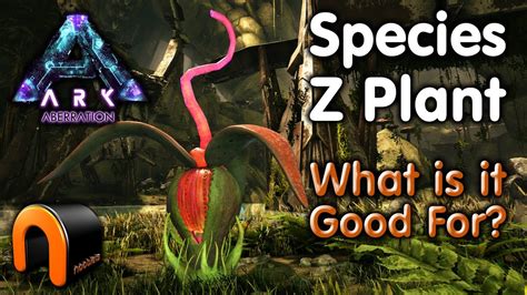 Ark - PLANT SPECIES Z - WHAT DOES IT DO? - YouTube