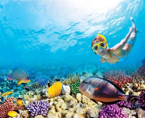 Where to go Snorkeling in Riviera Maya | Best Snorkeling places ...