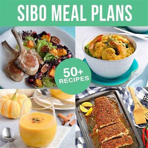 Sibo Recipes Dinner | Besto Blog