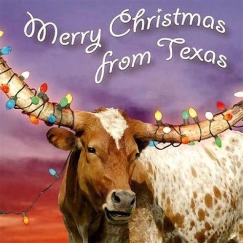 A Merry Texas Christmas to You | Texas | Pinterest | Texas, Lone star ...