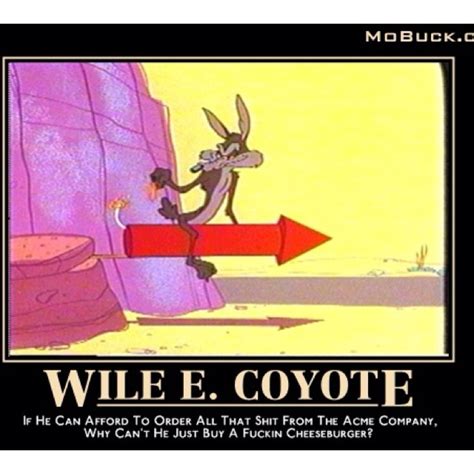 Wile E. Coyote Paradox | Very demotivational, Funny pictures, Humor