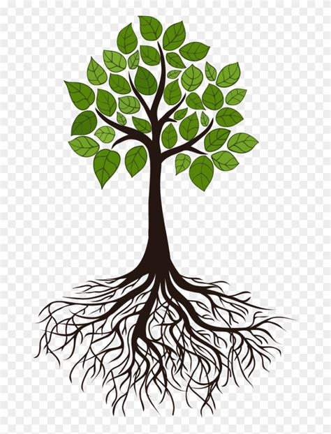 Tree Root Branch Clip Art - Transparent Tree Of Life Roots - Free Transparent PNG Clipart Images ...